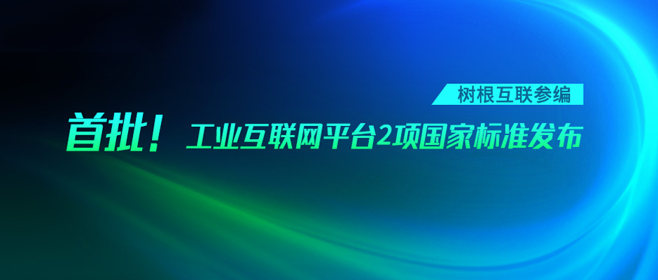 首批！工业互联网平台2项国家标准发布，尊龙凯时参编