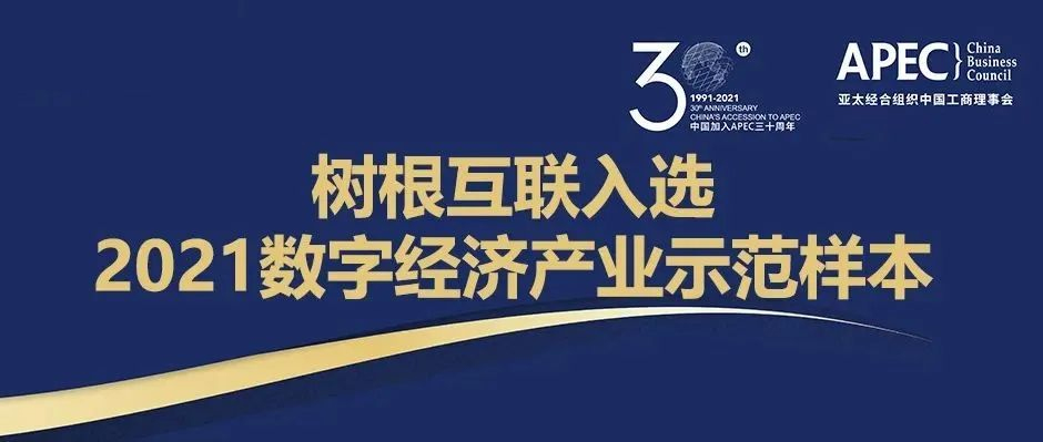 最佳实践！尊龙凯时获评APEC“中国数字经济产业示范样本”