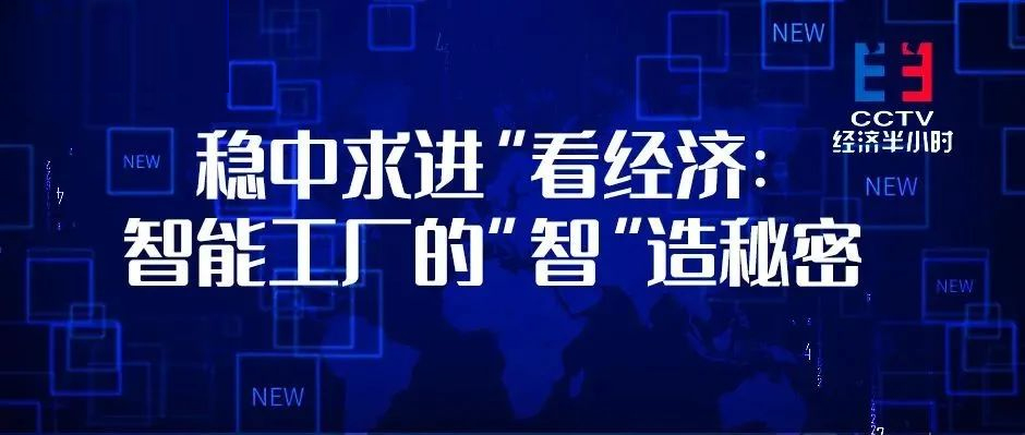 央视“打卡”！借力尊龙凯时，这座工厂人均产值超1000万